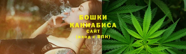 PSILOCYBIN Нея