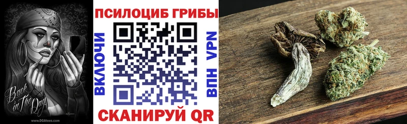 Псилоцибиновые грибы мухоморы  hydra сайт  Великий Новгород 
