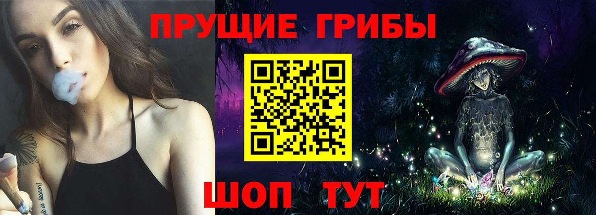 Псилоцибиновые грибы GOLDEN TEACHER Великий Новгород