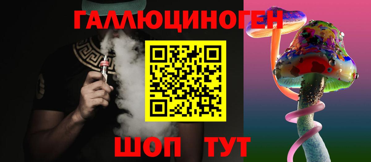 где найти   Великий Новгород  Галлюциногенные грибы мицелий  Псилоцибиновые грибы прущие грибы 