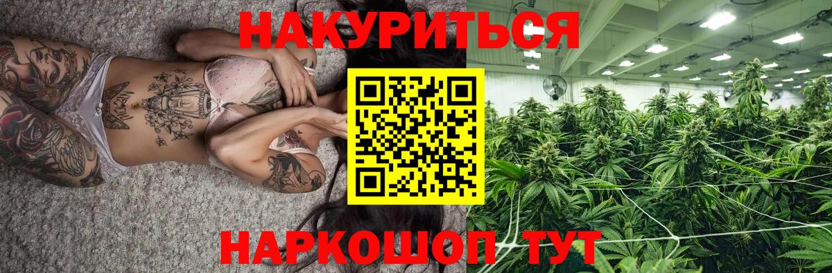 Бошки марихуана OG Kush  Конопля OG Kush  Вход с VPN  МАРИХУАНА план  Марихуана White Widow  Великий Новгород 